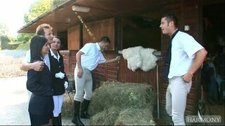 ���ቁር Angelika ሉሲ Belle - አዳዲስ ግምገማዎች ላይ ነው ቅድሚያ ይታያል